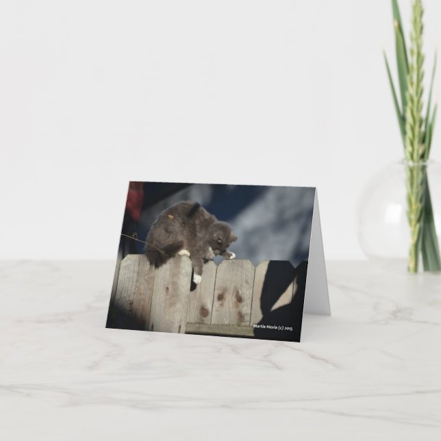 Cartão Gato na cerca (9) (Frente)