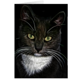 Cartão Gato Negro