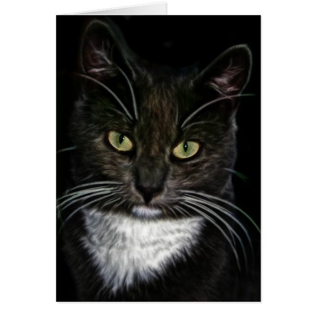 Cartão Gato Negro (Frente)