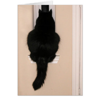 Cartão Gato negro em janela esbranquiçada