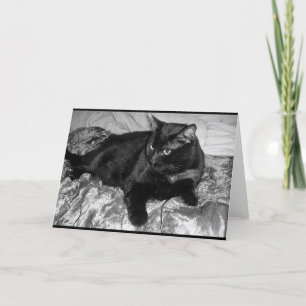 Cartão Gato Negro Sério