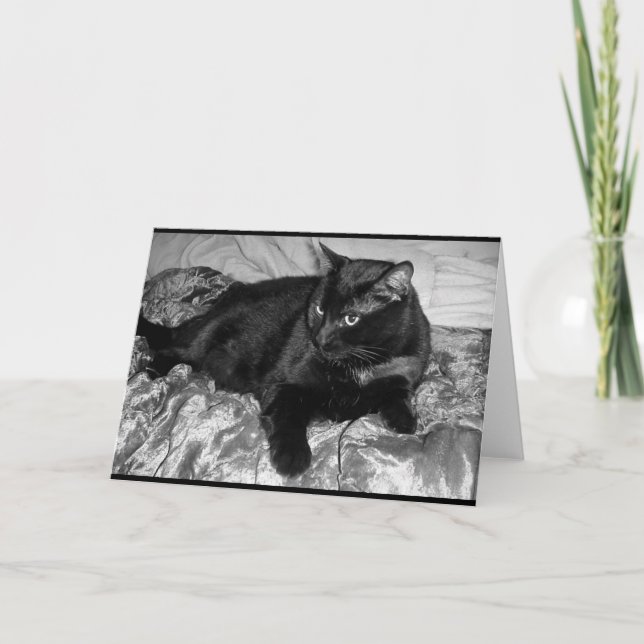 Cartão Gato Negro Sério (Frente)