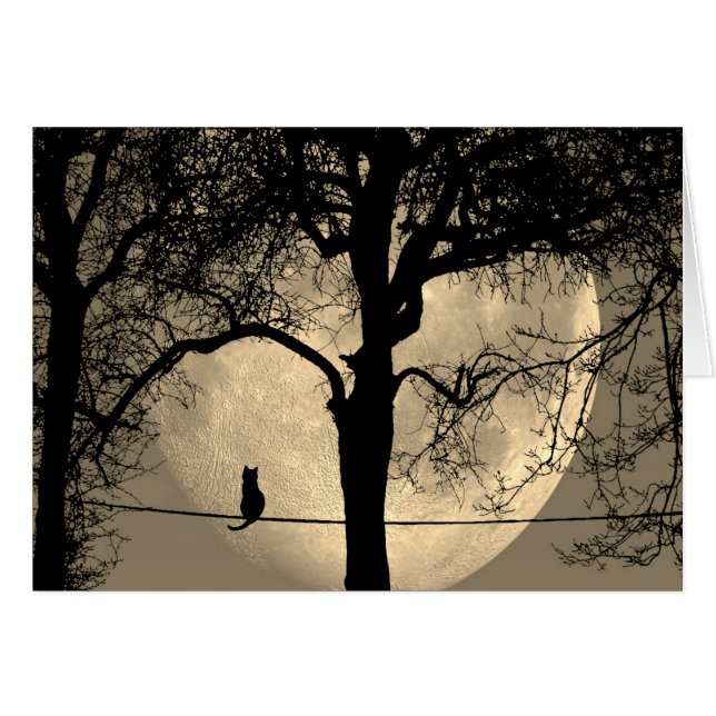 Cartão Gato num Dentro de Vazio de lua cheia com fio (Frente Horizontal)