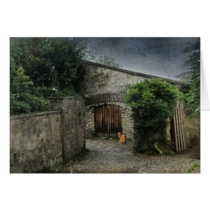 Cartão Gato num pátio