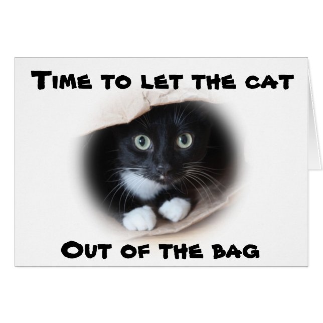 Cartão Gato numa bolsa (Frente Horizontal)