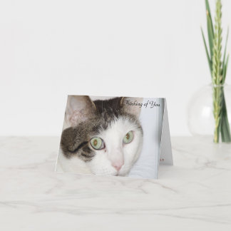 Cartão Gato - Pensando em você