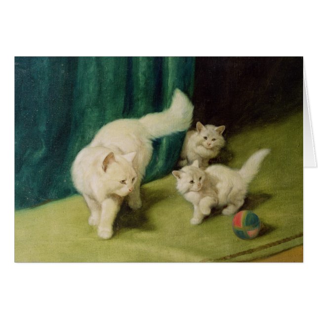Cartão Gato persa branco com dois gatinhos (Frente Horizontal)