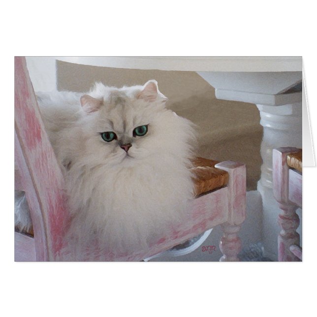 Cartão Gato Persa Branco em uma Cadeira Rosa (Frente Horizontal)