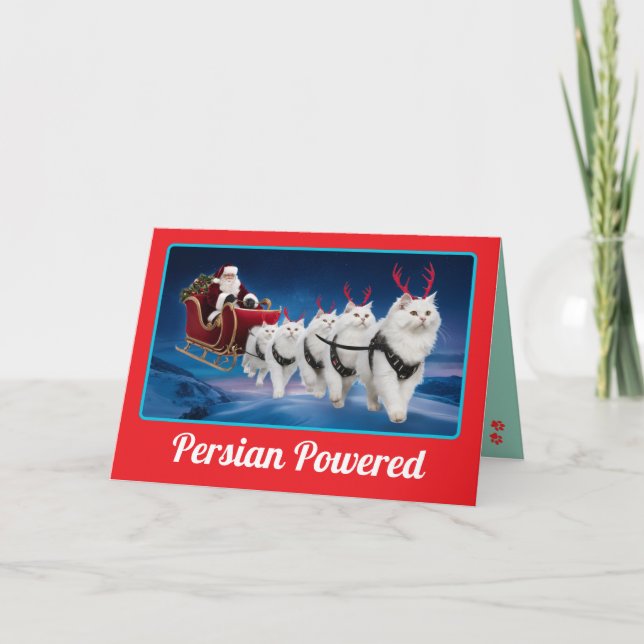 Cartão Gato Persa Branco Engraçado Natal Feriado (Frente)