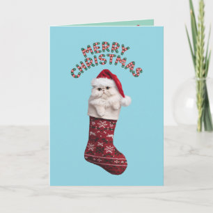 Cartão Gato Persa Branco Fofo Natal