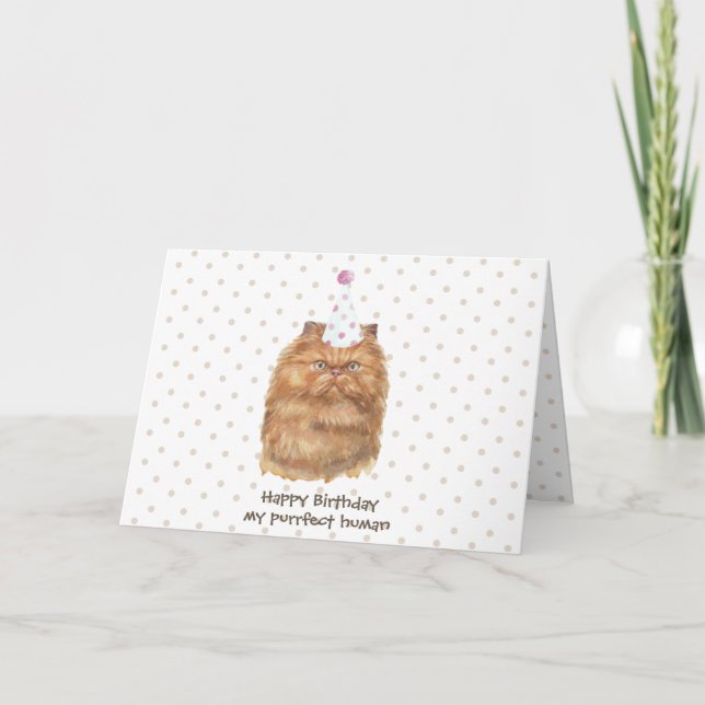 Cartão Gato Persa Engraçado com Chapéu de Festa (Frente)