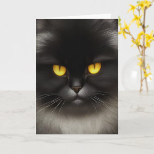 Cartão Gato Persa Preto Fofo Cara de Gato Rabugento Engra