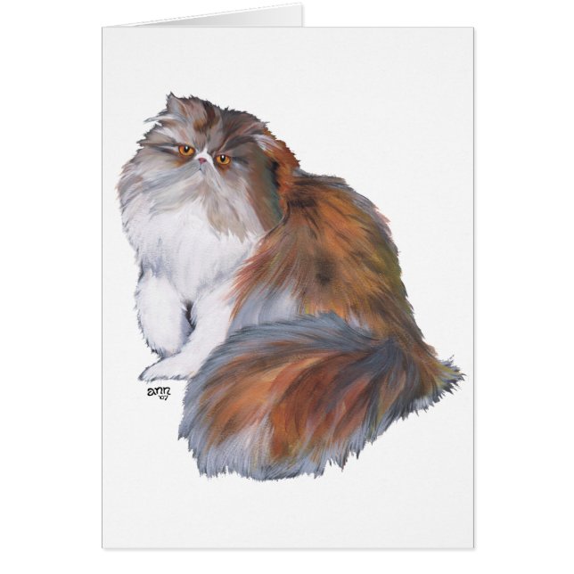 Cartão Gato Persa Tricolor (Frente)
