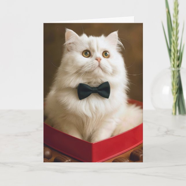 Cartão Gato Persa Valentine em Caixa de Balas (Frente)