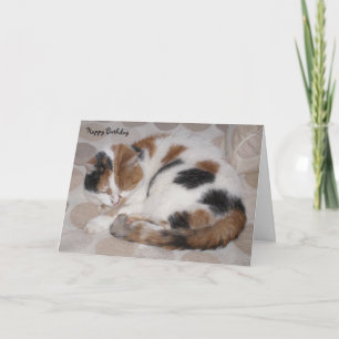Cartão Gato personalizado do Calico enrolado no sono Aniv