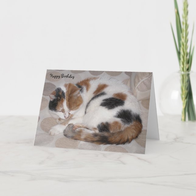 Cartão Gato personalizado do Calico enrolado no sono Aniv (Frente)