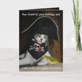 Cartão Gato Pirata Engraçado