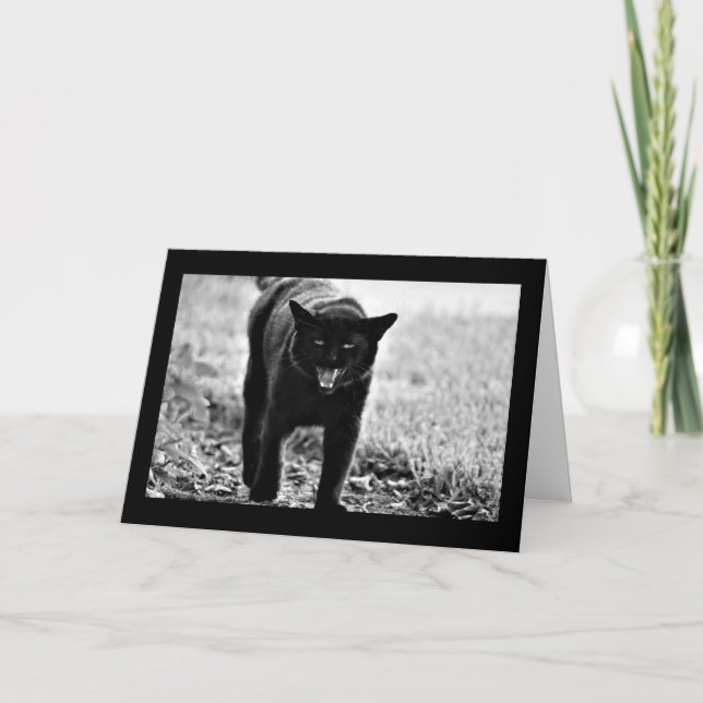 Cartão "Gato preto " (Frente)