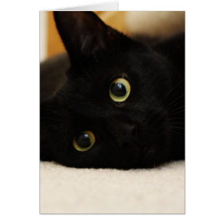 Cartão Gato preto