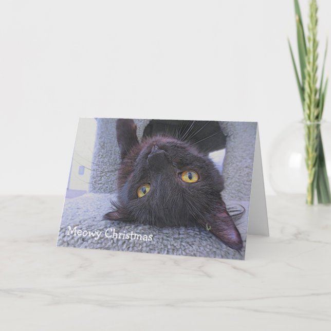 Cartão Gato preto (Frente)