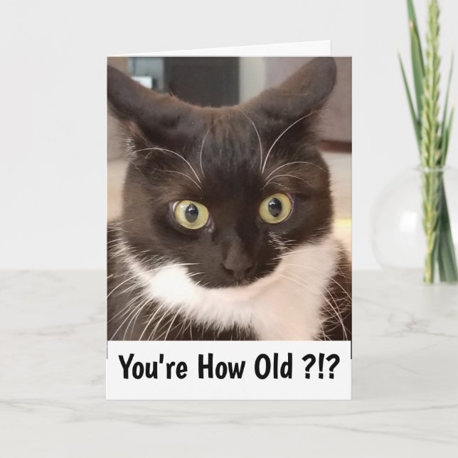 Cartão Gato preto (Frente)