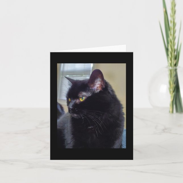 Cartão Gato preto (Frente)