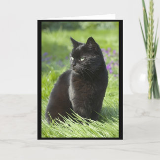 Cartão Gato preto afortunado
