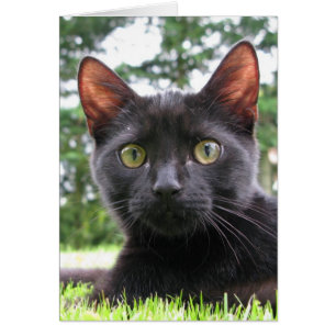 Cartão Gato preto afortunado