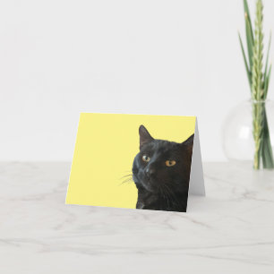 Cartão Gato Preto Com Uma Expressão Excêntrica e Divertid
