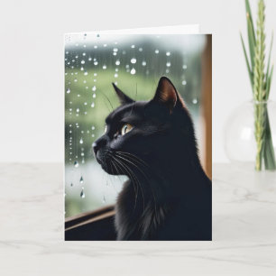 Cartão Gato Preto de Aniversário na Janela Chuvosa