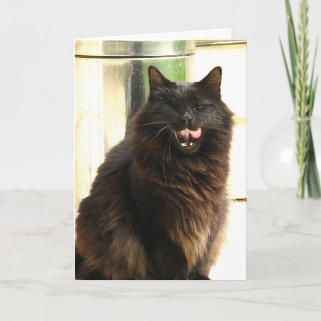 Cartão Gato preto do Dia das Bruxas com um olho (Frente)