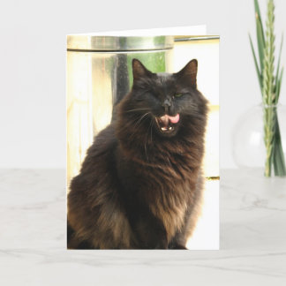 Cartão Gato preto do Dia das Bruxas com um olho