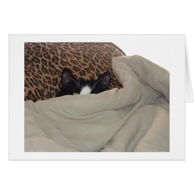Cartão Gato Preto e Branco (Frente Horizontal)