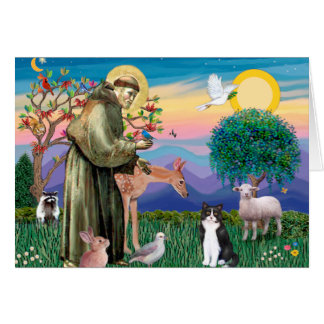 Cartão Gato Preto e Branco - São Francisco
