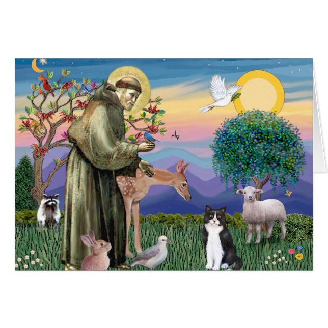 Cartão Gato Preto e Branco - São Francisco (Frente Horizontal)