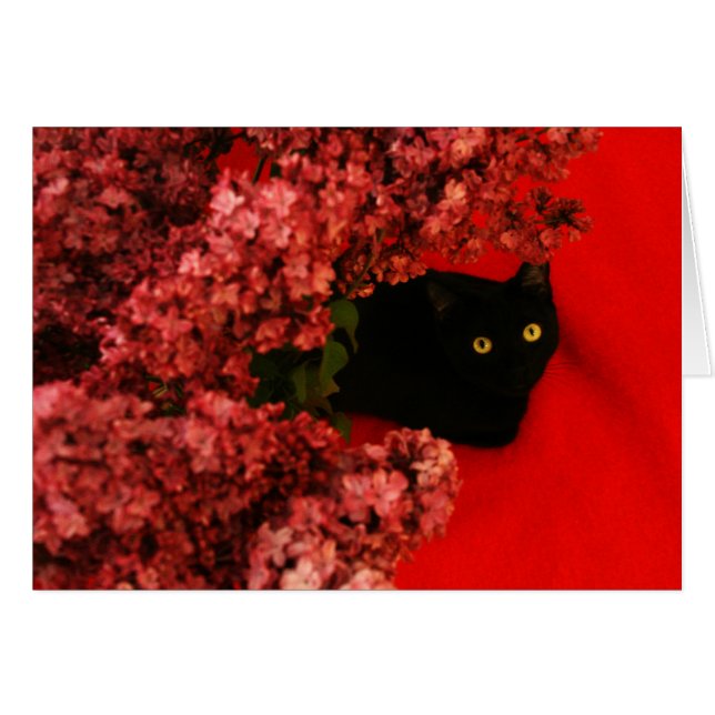 Cartão gato preto em vermelho (Frente Horizontal)