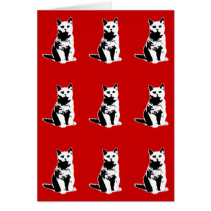 Cartão gato preto giro com padronização