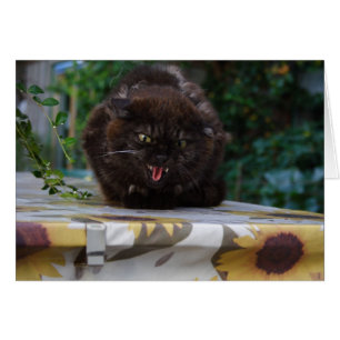 Cartão Gato preto irritado