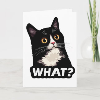Cartão Gato Preto O Quê?