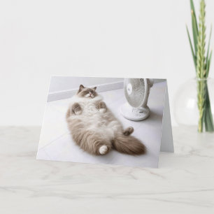 Cartão Gato Ragdoll de Aniversário Esfriando com um Venti