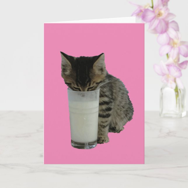 Cartão Gato Roubando Leite De Um Copo (Orquídea)