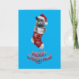 Cartão Gato Russo Azul Natal Fofo 