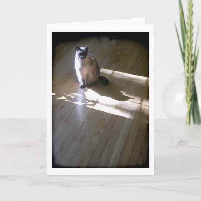 Cartão Gato siamês de ponta lilás ao sol (Frente)