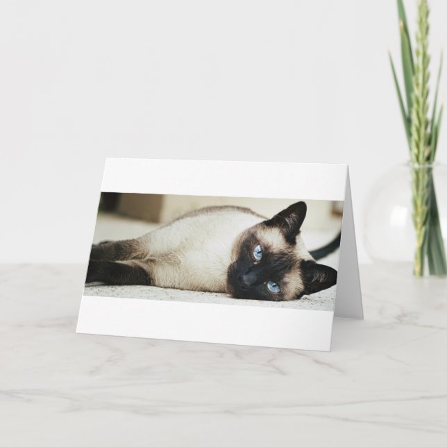 Cartão Gato Siamese (Frente)
