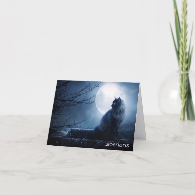 Cartão Gato Siberian intrigante no Nighttime (Frente)