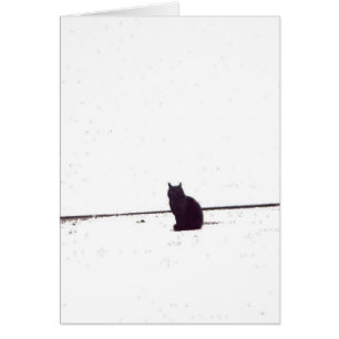 Cartão Gato só
