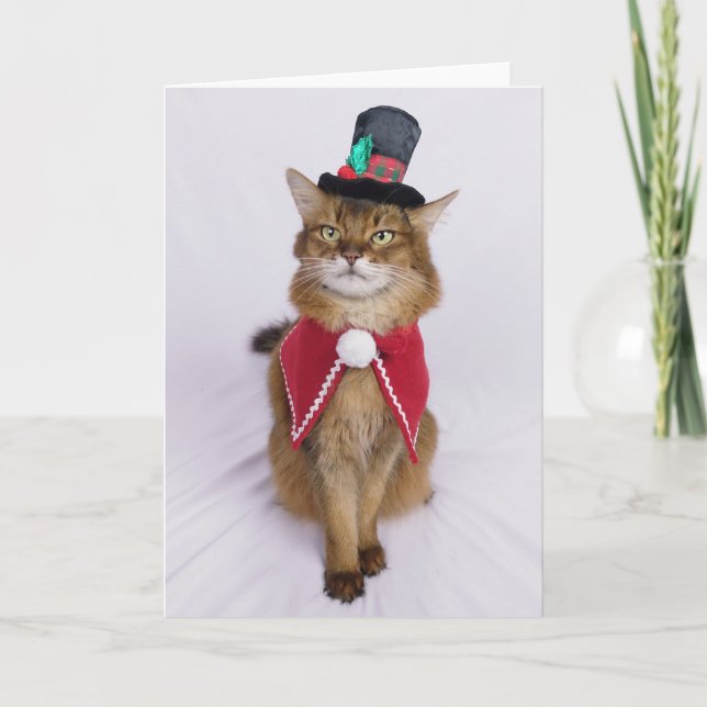 Cartão Gato Somali Cantador de Natal  (Frente)