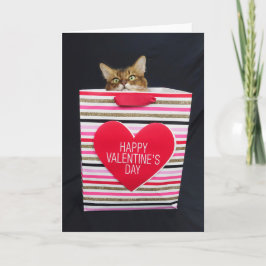 Cartão Gato Somali em uma Bolsa Feliz do Dia dos Namorado