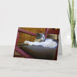 Cartão Gato Sonolento/Cartão de Aniversário