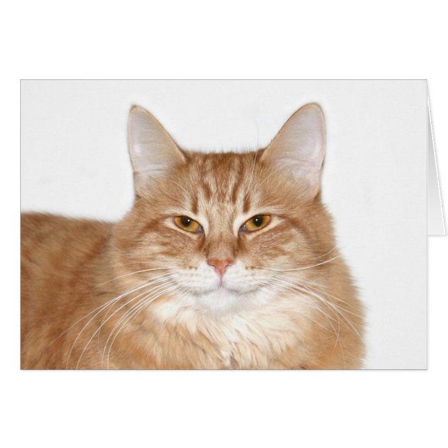 Cartão Gato sorridente de caneca (Frente Horizontal)